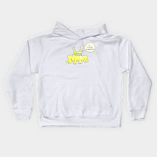 I Know Frog Kids Hoodie